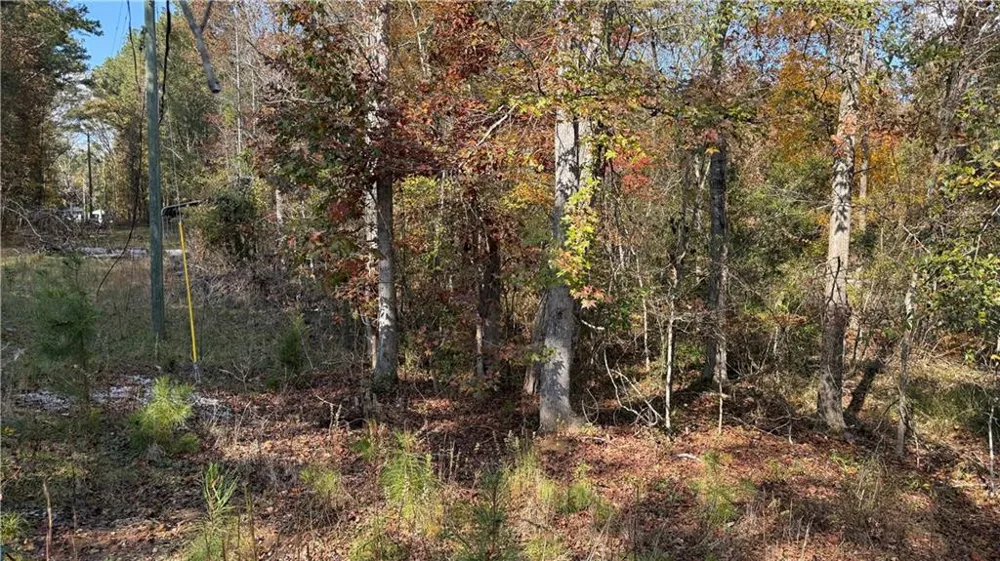 618 S Steel Bridge Road Eatonton, GA 31024