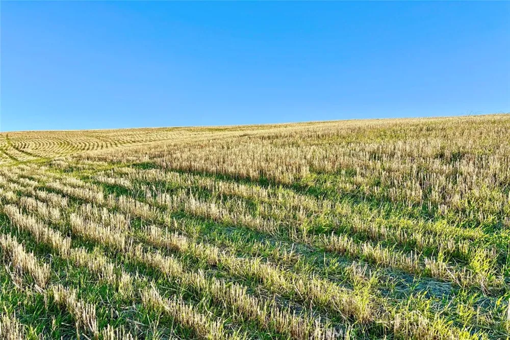 3780 S Gillis Canyon Road Shandon, CA 93461