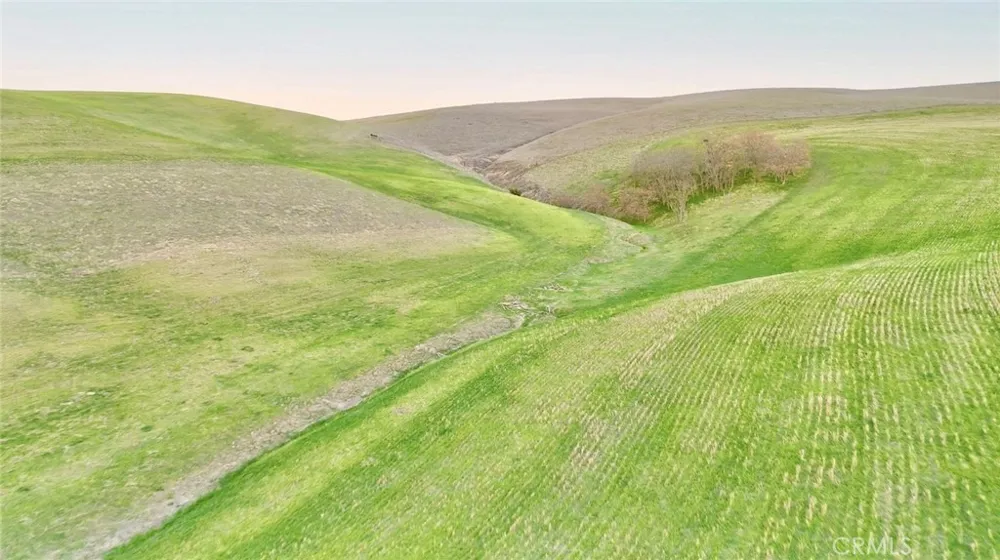 3780 S Gillis Canyon Road Shandon, CA 93461