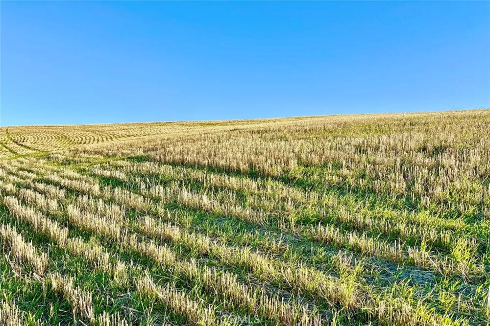 3780 S Gillis Canyon Road Shandon, CA 93461