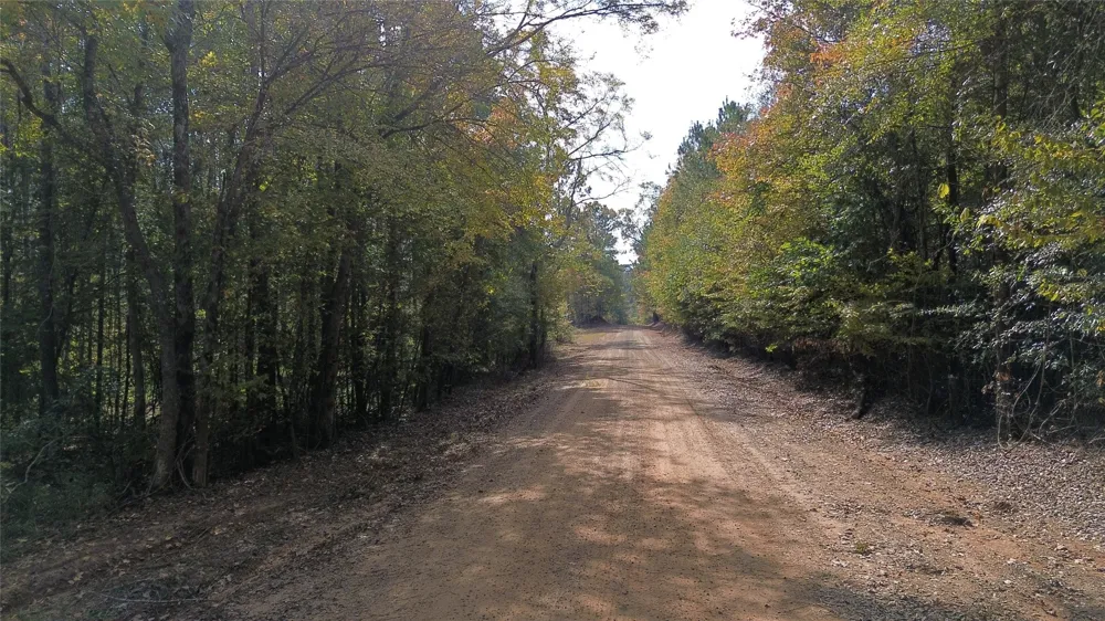 Harper Bottom Road Ruston, LA 71270