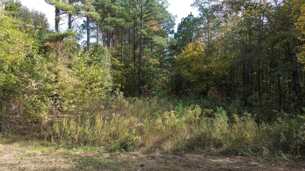 Harper Bottom Road Ruston, LA 71270