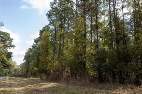 Harper Bottom Road