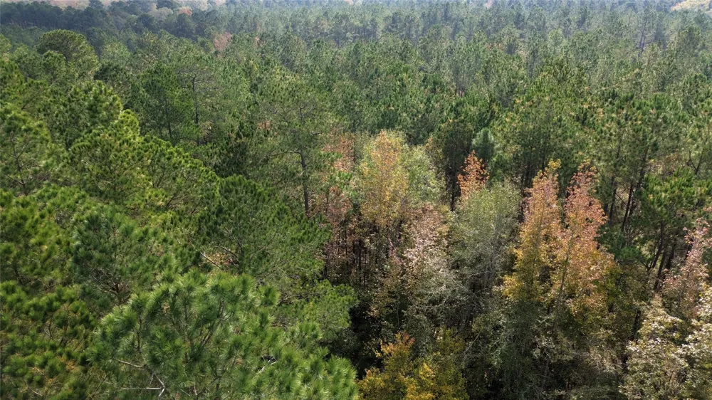 Harper Bottom Road Ruston, LA 71270