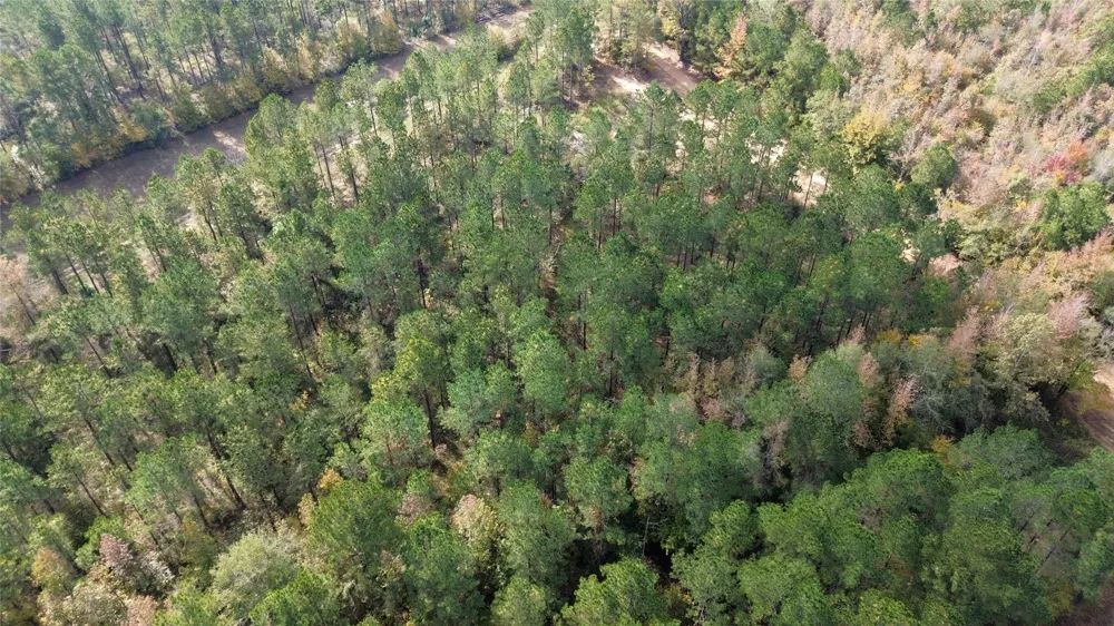 Harper Bottom Road Ruston, LA 71270