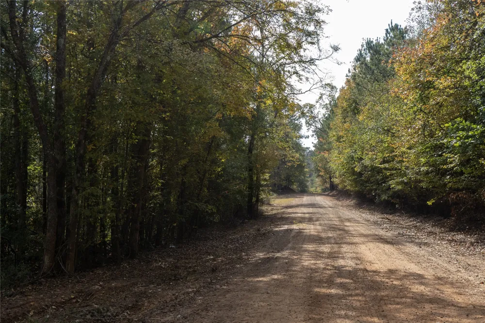 Harper Bottom Road Ruston, LA 71270