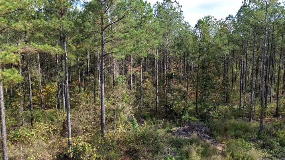 Harper Bottom Road Ruston, LA 71270
