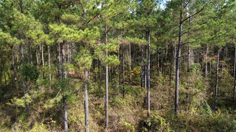 Harper Bottom Road Ruston, LA 71270