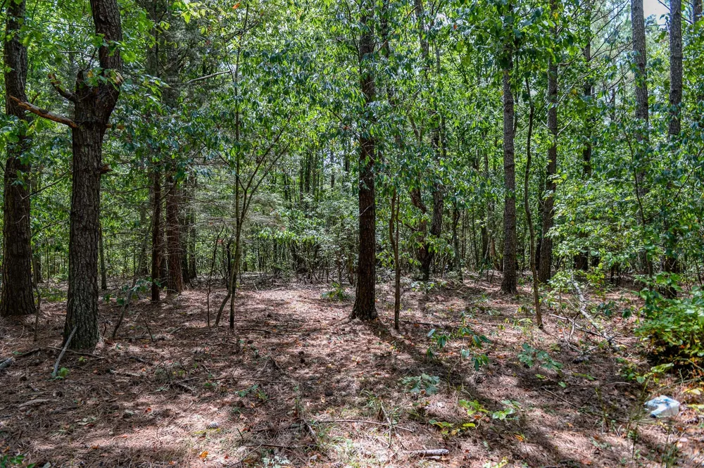 0 Brush Creek Rd Hohenwald, TN 38462