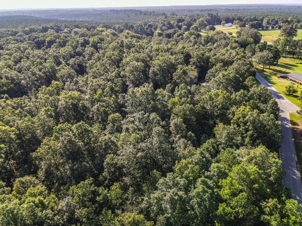 0 Brush Creek Rd Hohenwald, TN 38462