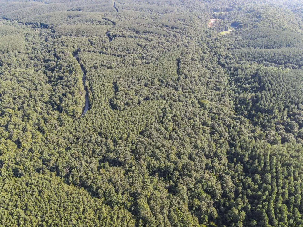 0 Brush Creek Rd Hohenwald, TN 38462