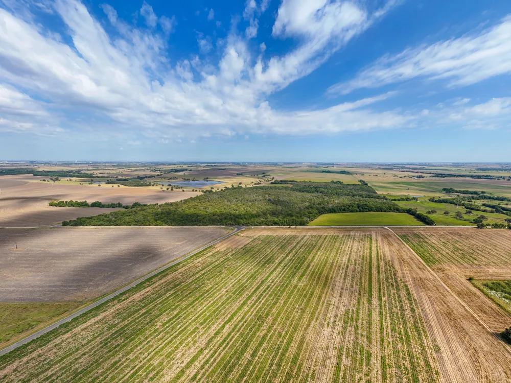 1451 CR 483 Taylor, TX 76574
