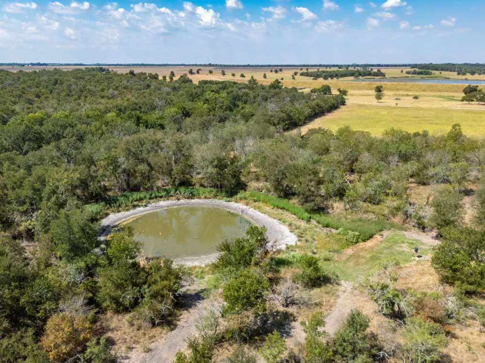 1451 CR 483 Taylor, TX 76574