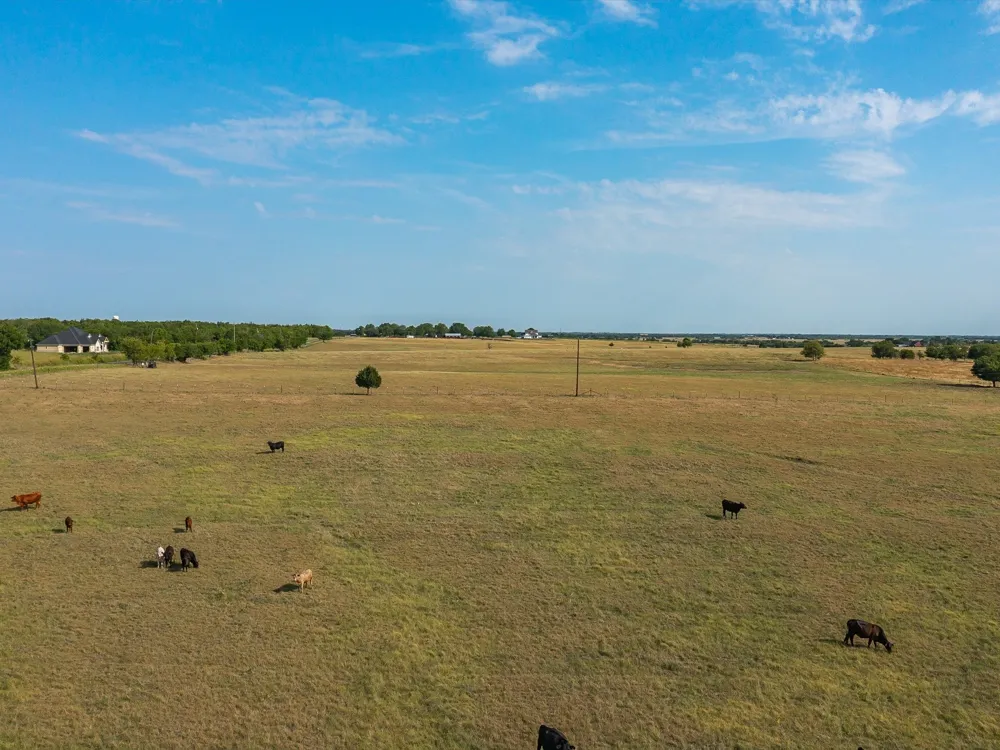 Valek Road Ennis, TX 75119