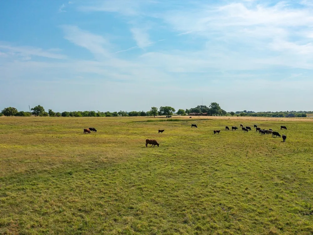 Valek Road Ennis, TX 75119