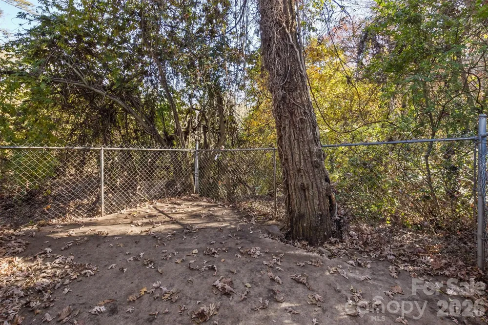 195 Terrace Drive Canton, NC 28716