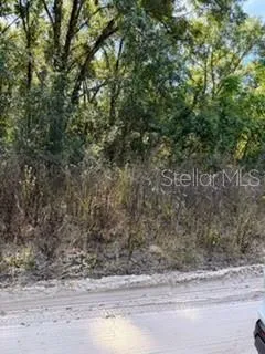 Lot 22 SE 130TH PLACE Belleview, FL 34420