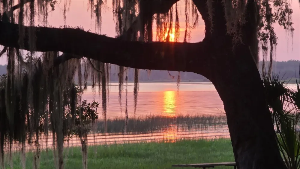 25205 NE 142 ND STREET Salt Springs, FL 32134