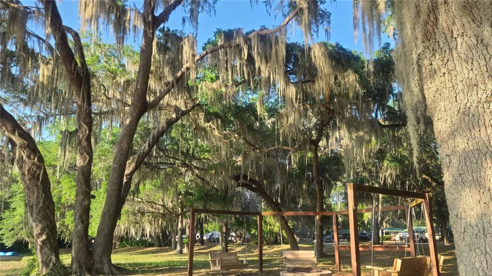 25205 NE 142 ND STREET Salt Springs, FL 32134
