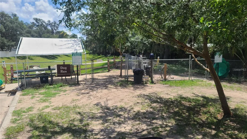 25205 NE 142 ND STREET Salt Springs, FL 32134