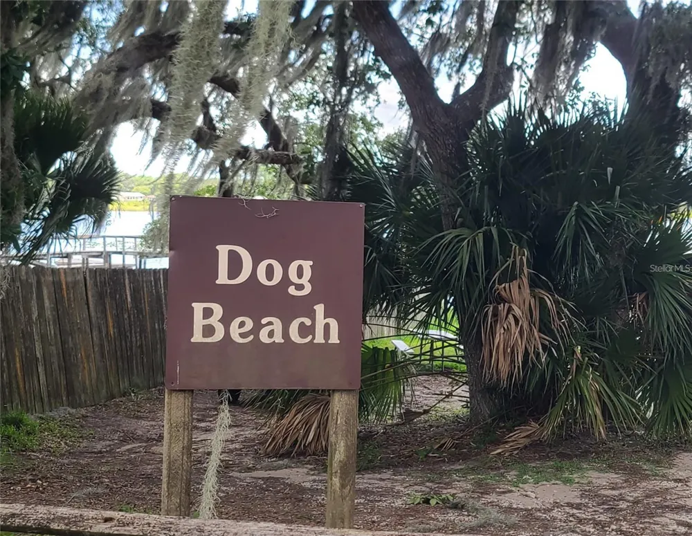 25205 NE 142 ND STREET Salt Springs, FL 32134