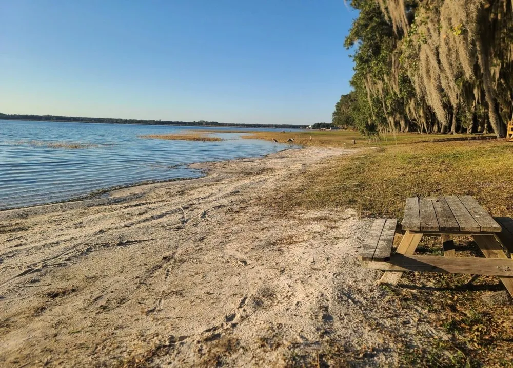 25205 NE 142 ND STREET Salt Springs, FL 32134