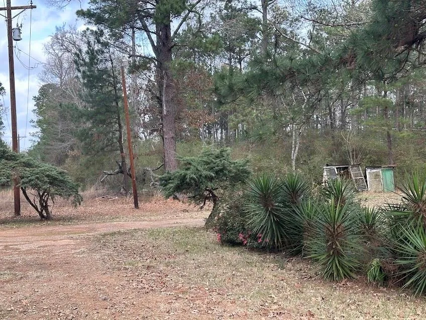 15981 Fm 31 Marshall, TX 75672
