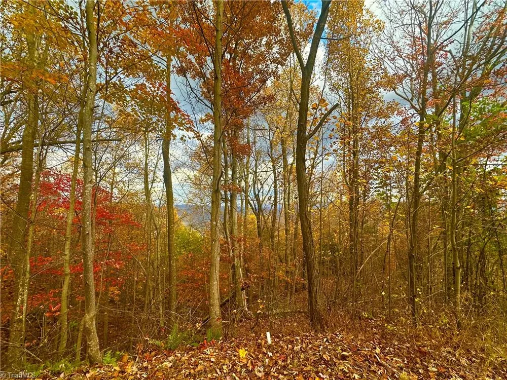 Lot 15 Morning Mist Drive Boomer, NC 28606