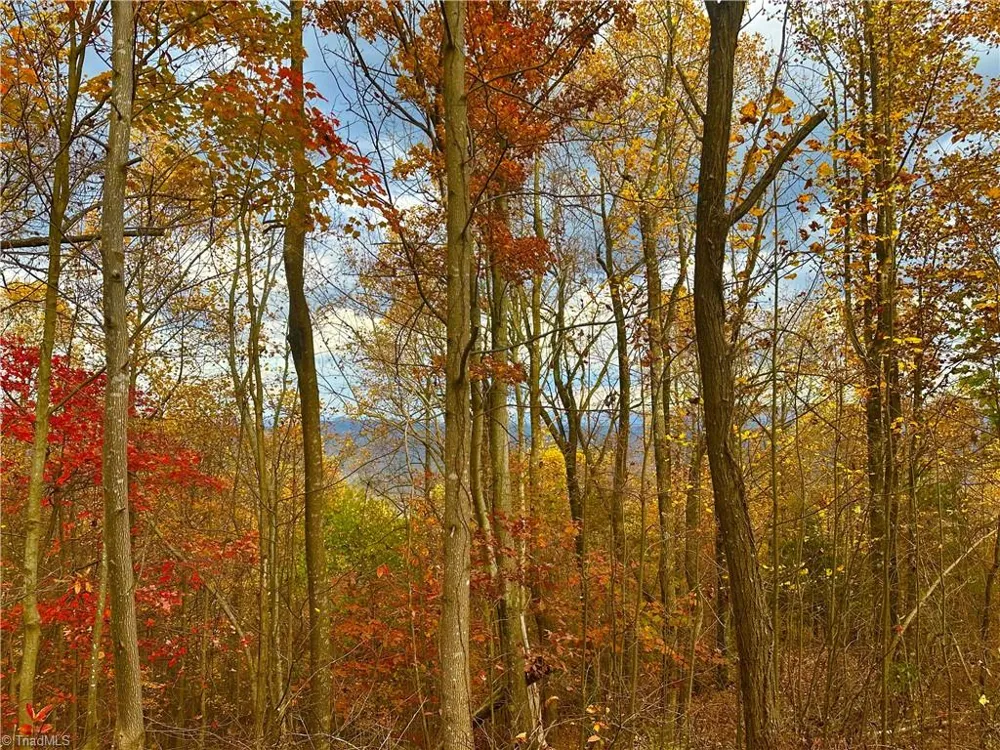 Lot 15 Morning Mist Drive Boomer, NC 28606