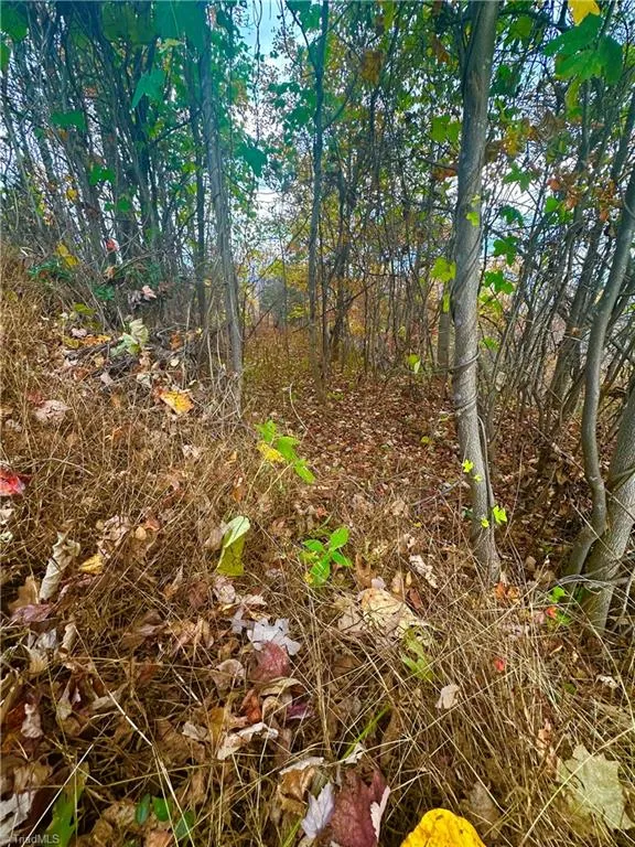 Lot 15 Morning Mist Drive Boomer, NC 28606