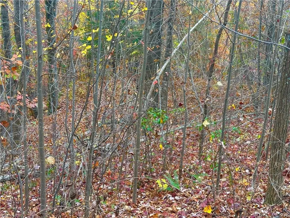 Lot 15 Morning Mist Drive Boomer, NC 28606