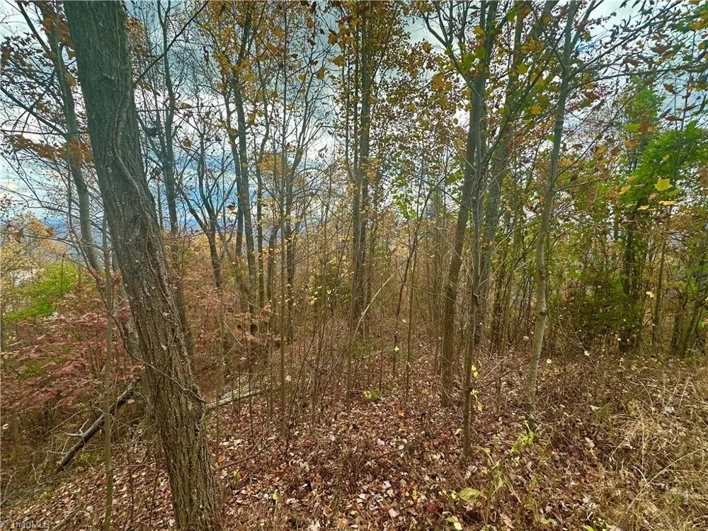 Lot 15 Morning Mist Drive Boomer, NC 28606