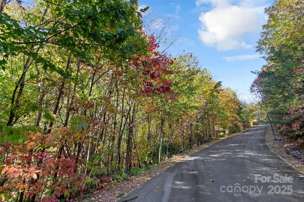 38 Attica Falls Trail Black Mountain, NC 28711