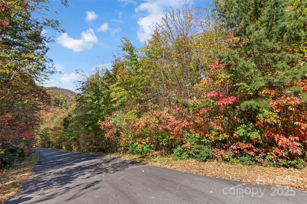 38 Attica Falls Trail Black Mountain, NC 28711