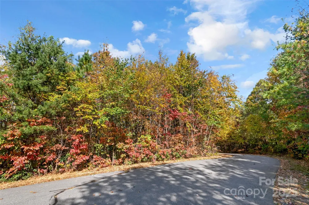 38 Attica Falls Trail Black Mountain, NC 28711
