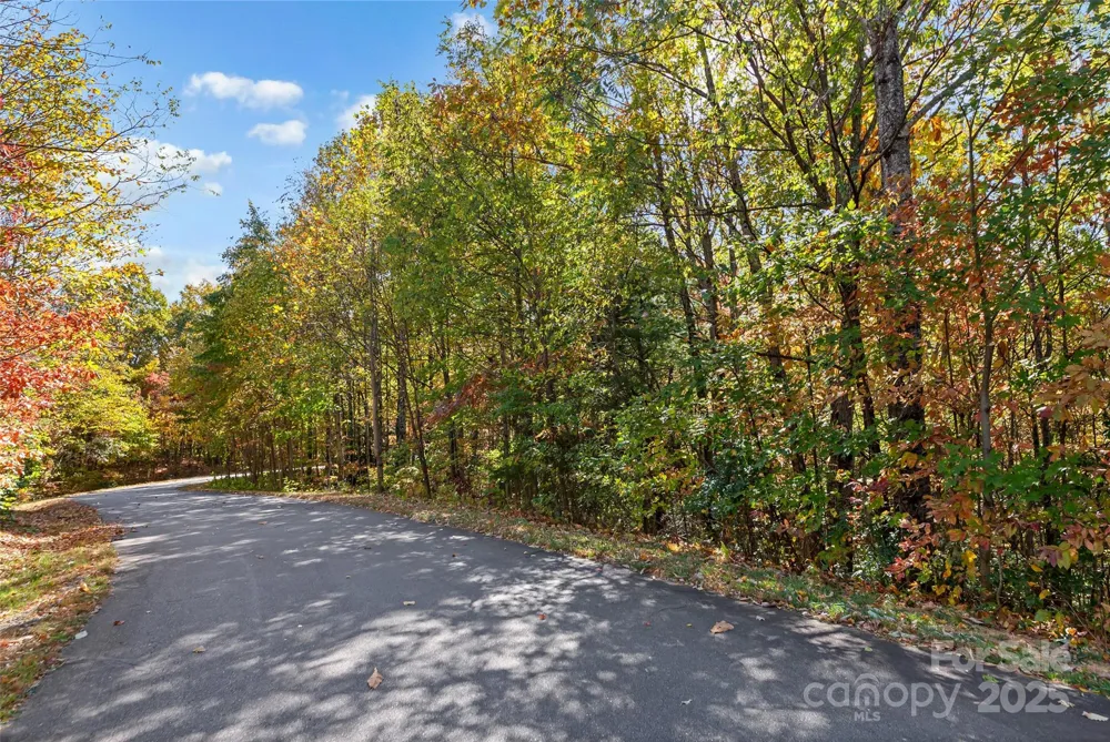 38 Attica Falls Trail Black Mountain, NC 28711