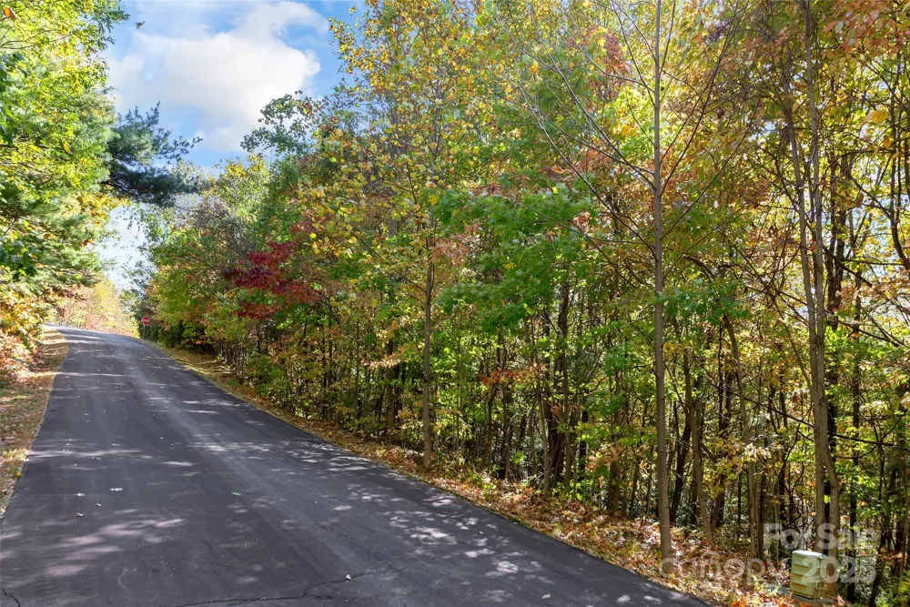 38 Attica Falls Trail Black Mountain, NC 28711