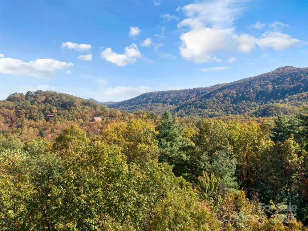 38 Attica Falls Trail Black Mountain, NC 28711