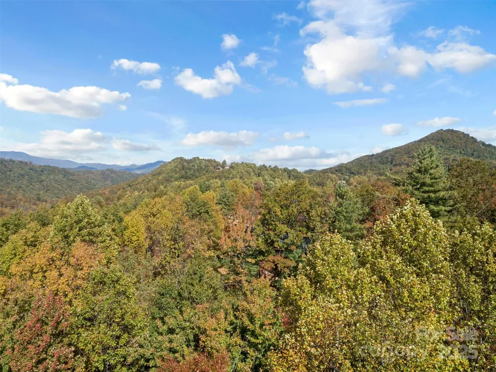 38 Attica Falls Trail Black Mountain, NC 28711