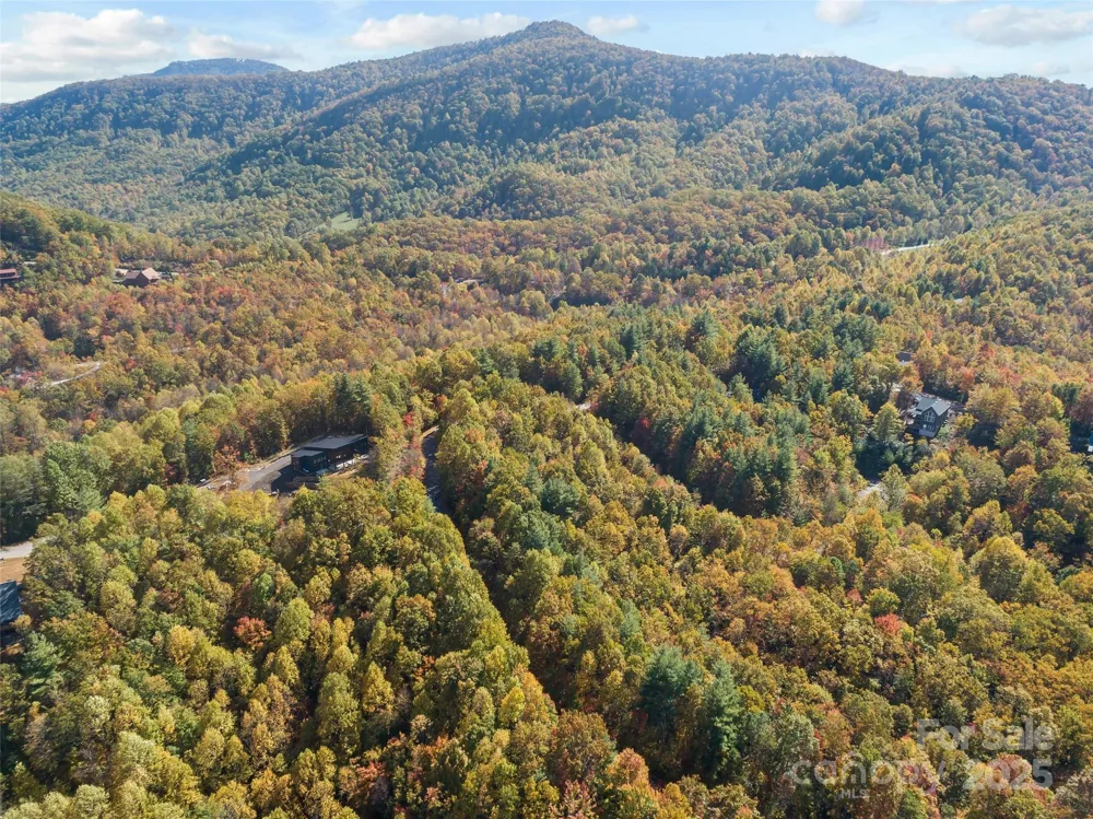 38 Attica Falls Trail Black Mountain, NC 28711
