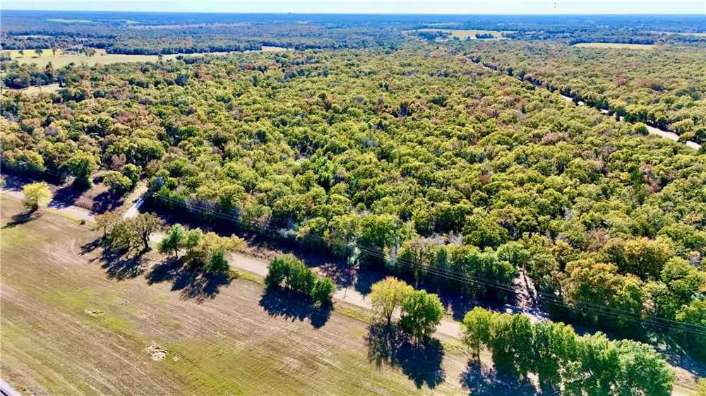 County Road 276 (16 ACRES) Bremond, TX 76629