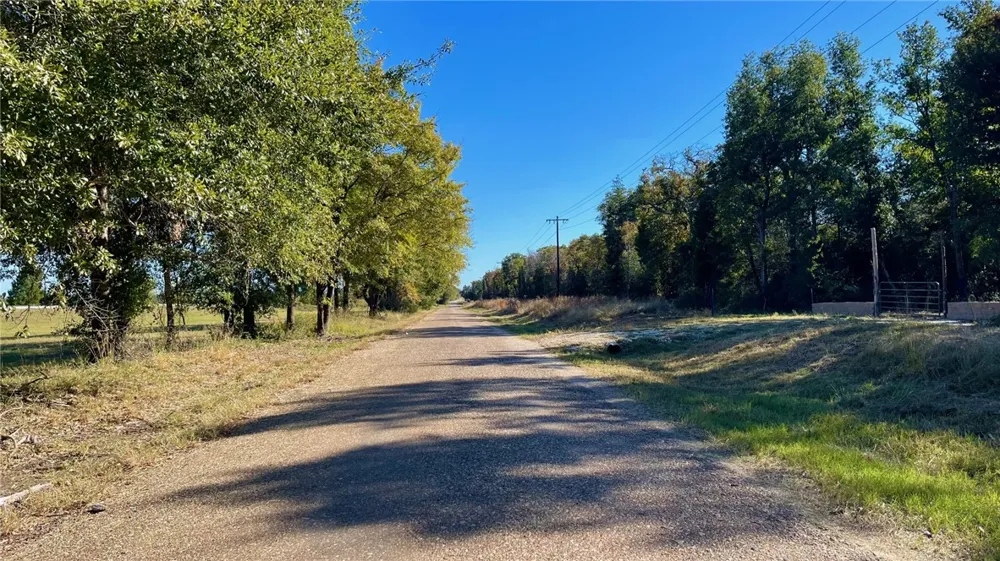 County Road 276 (16 ACRES) Bremond, TX 76629