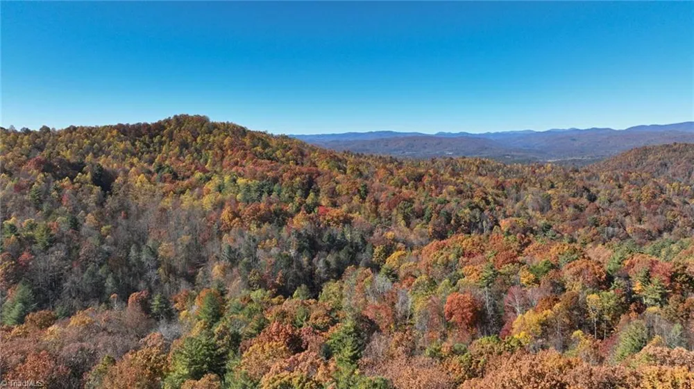 326 RoseBrier Road Boomer, NC 28606