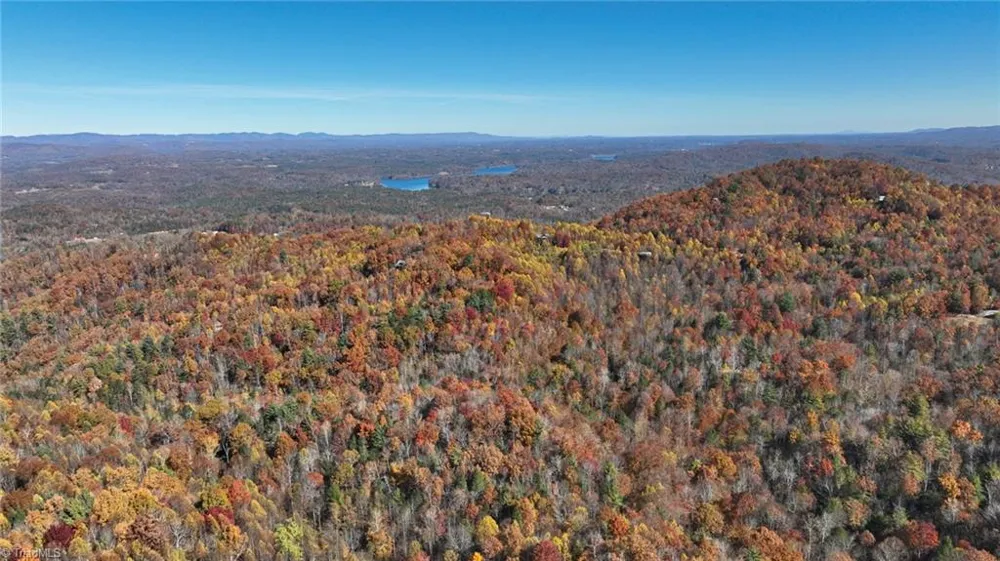 326 RoseBrier Road Boomer, NC 28606