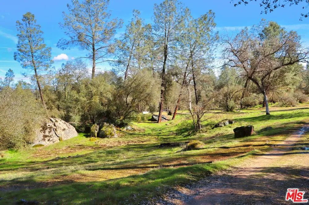 3 Blackhawk Drive Coarsegold, CA 93614