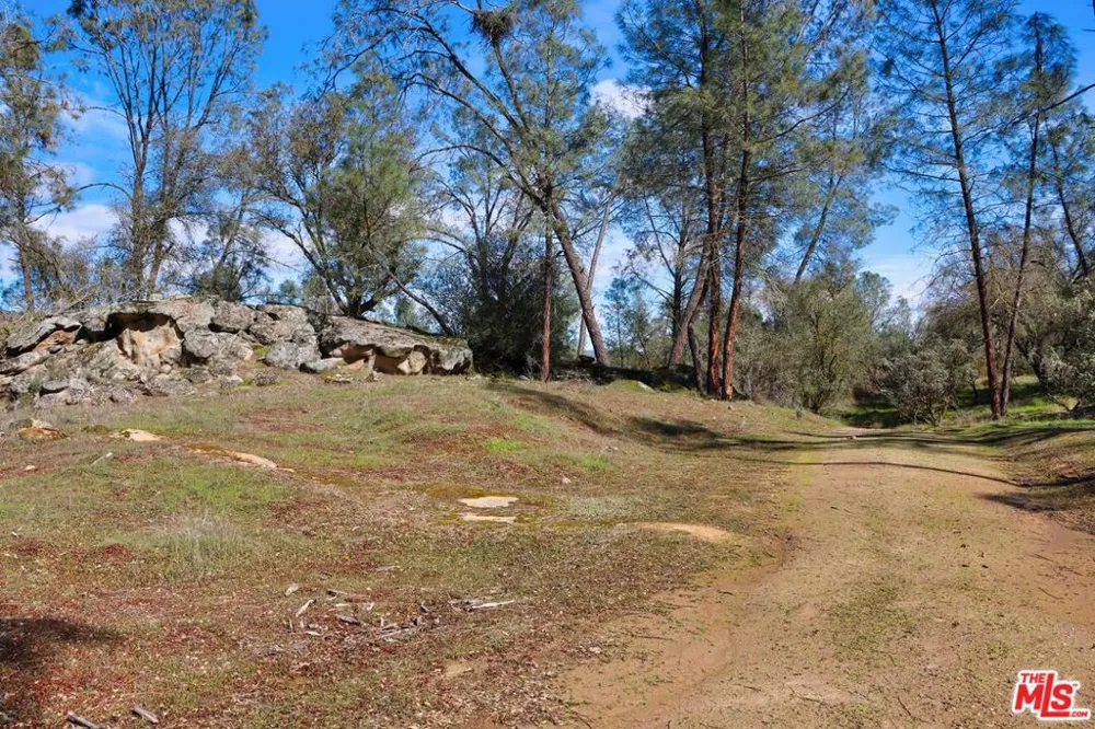 3 Blackhawk Drive Coarsegold, CA 93614
