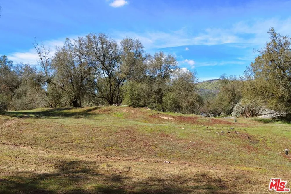 3 Blackhawk Drive Coarsegold, CA 93614