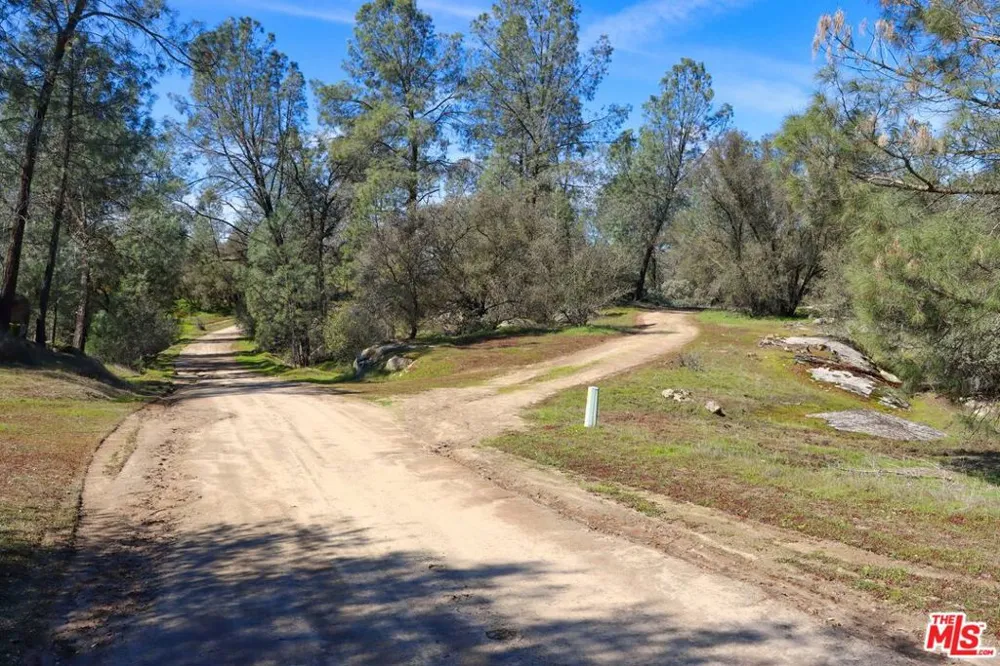 3 Blackhawk Drive Coarsegold, CA 93614