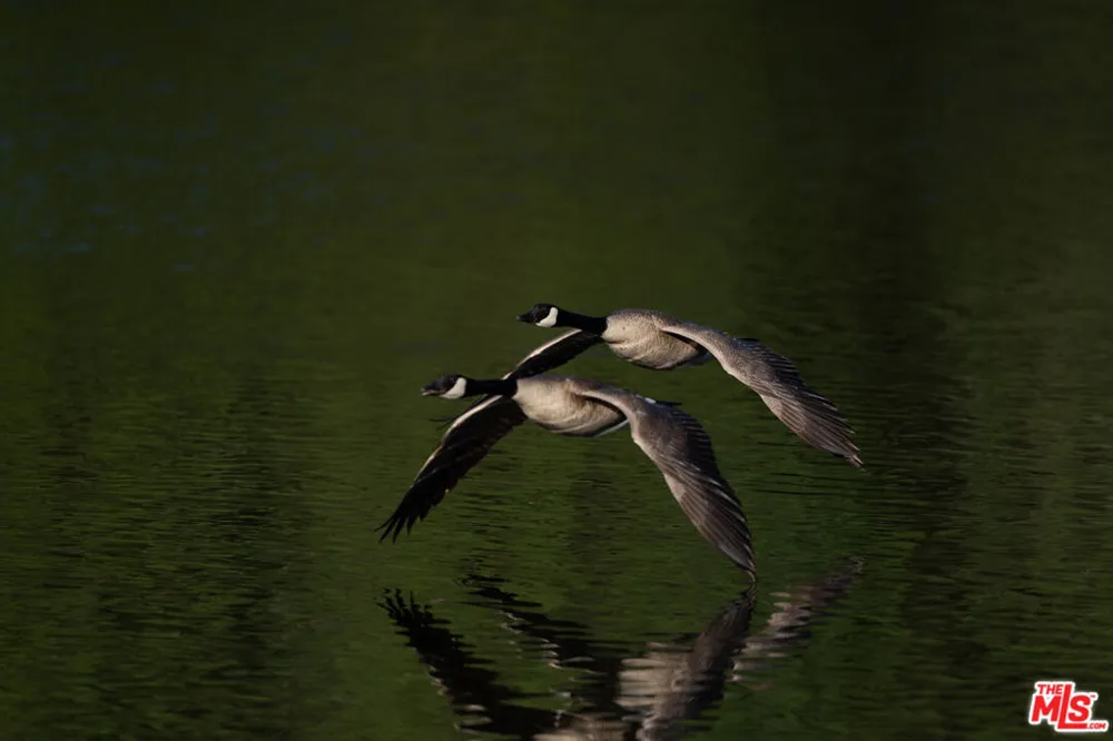 3 Blackhawk Drive Coarsegold, CA 93614
