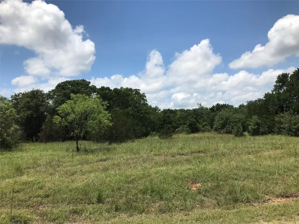 1190 Lakeview Drive Palo Pinto, TX 76484